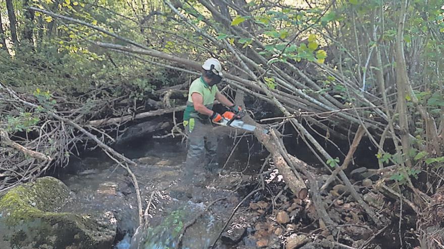 La Confederación destina 21.900 euros a los cauces de Mieres, Laviana y Caso