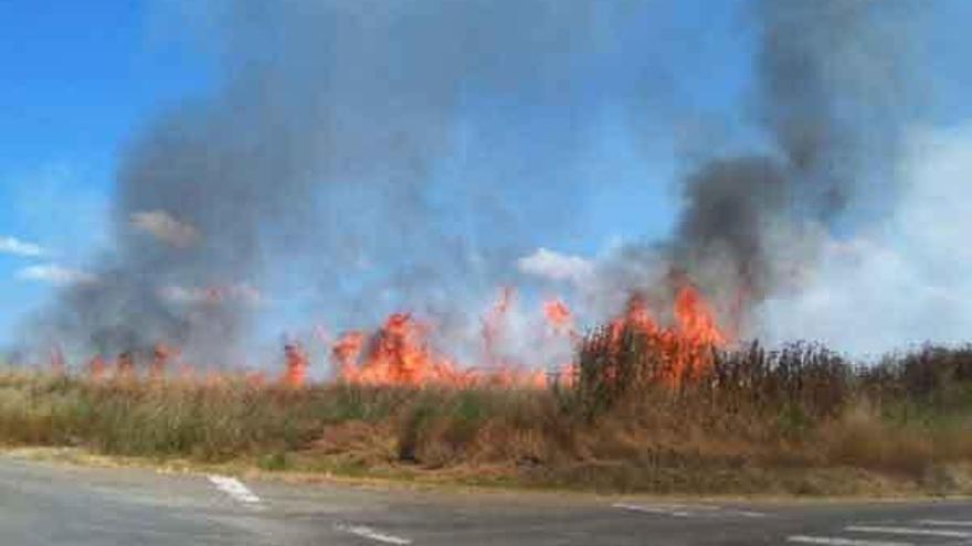 Las llamas surgieron junto a la carretera, a 300 metros del casco urbano de Arcenillas.