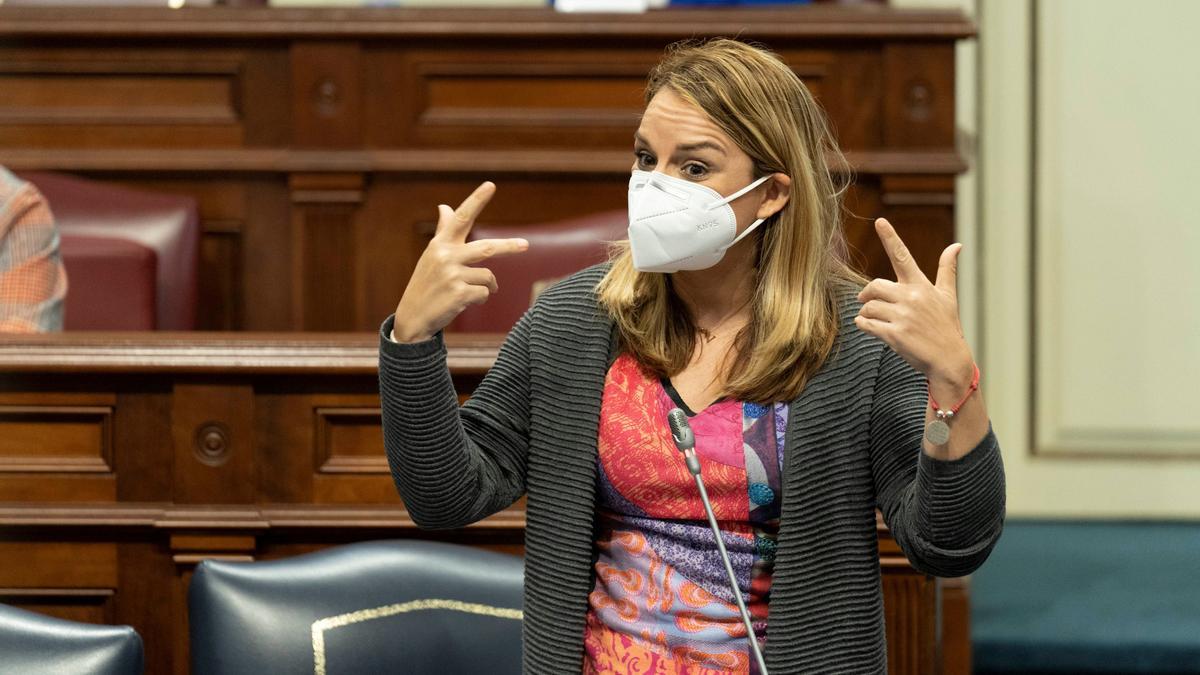 Noemí Santana, en el pleno del Parlamento