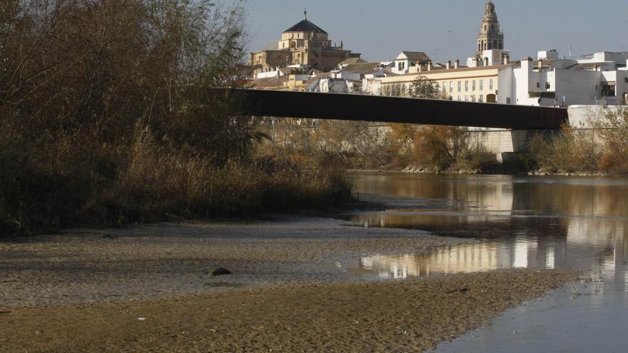 Dos jóvenes sufren una dura caída a la zona fangosa del río junto al puente de Miraflores