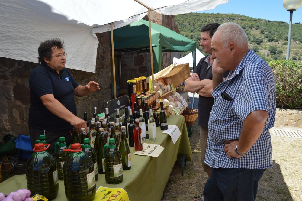 Festa Templera al barri vell de Puig-reig