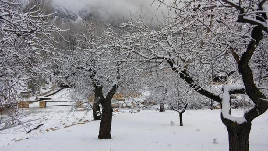 Imagen de la provincia cubierta por un manto blanco