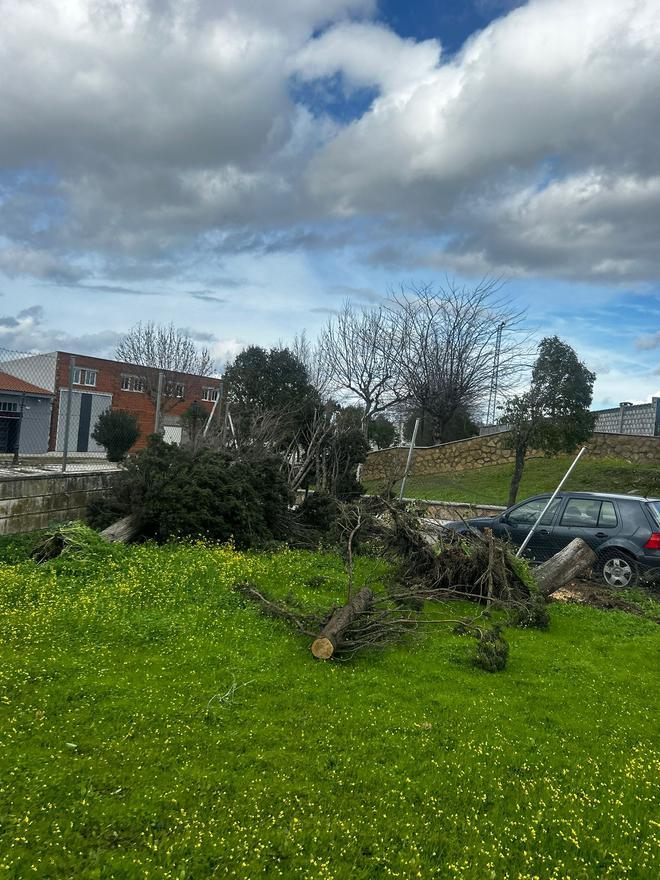 Fotogalería | Así ha afectado la borrasca Kristin en Garrovillas de Alconétar