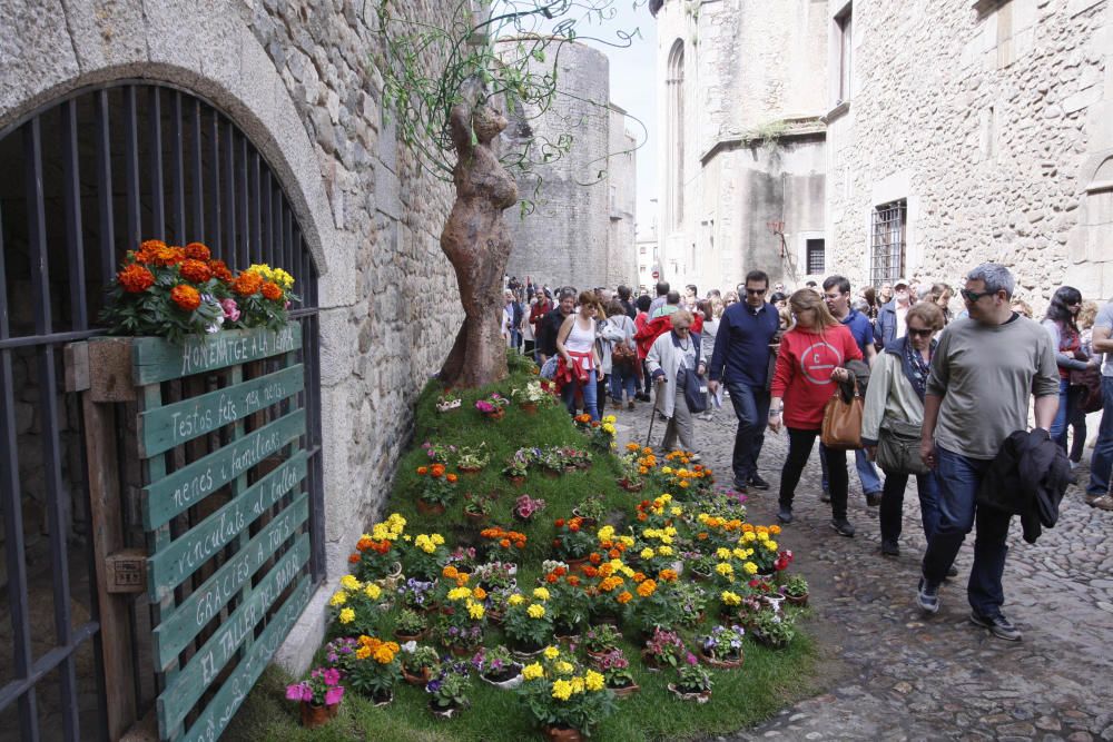 Girona es torna a omplir de visitants el darrer cap de setmana de Temps de Flors