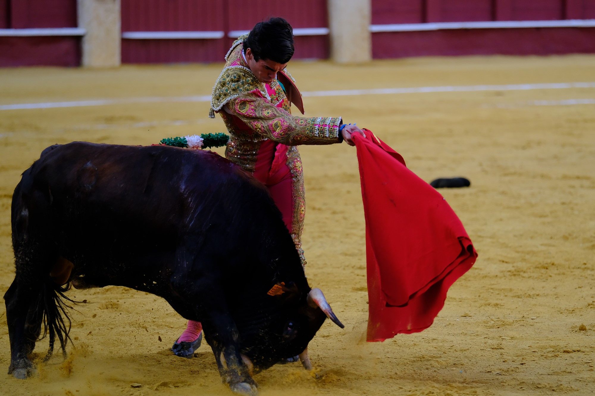 Toros en la Feria | Novena corrida de abono en La Malagueta: 3ª Semifinal de las Escuelas Taurinas