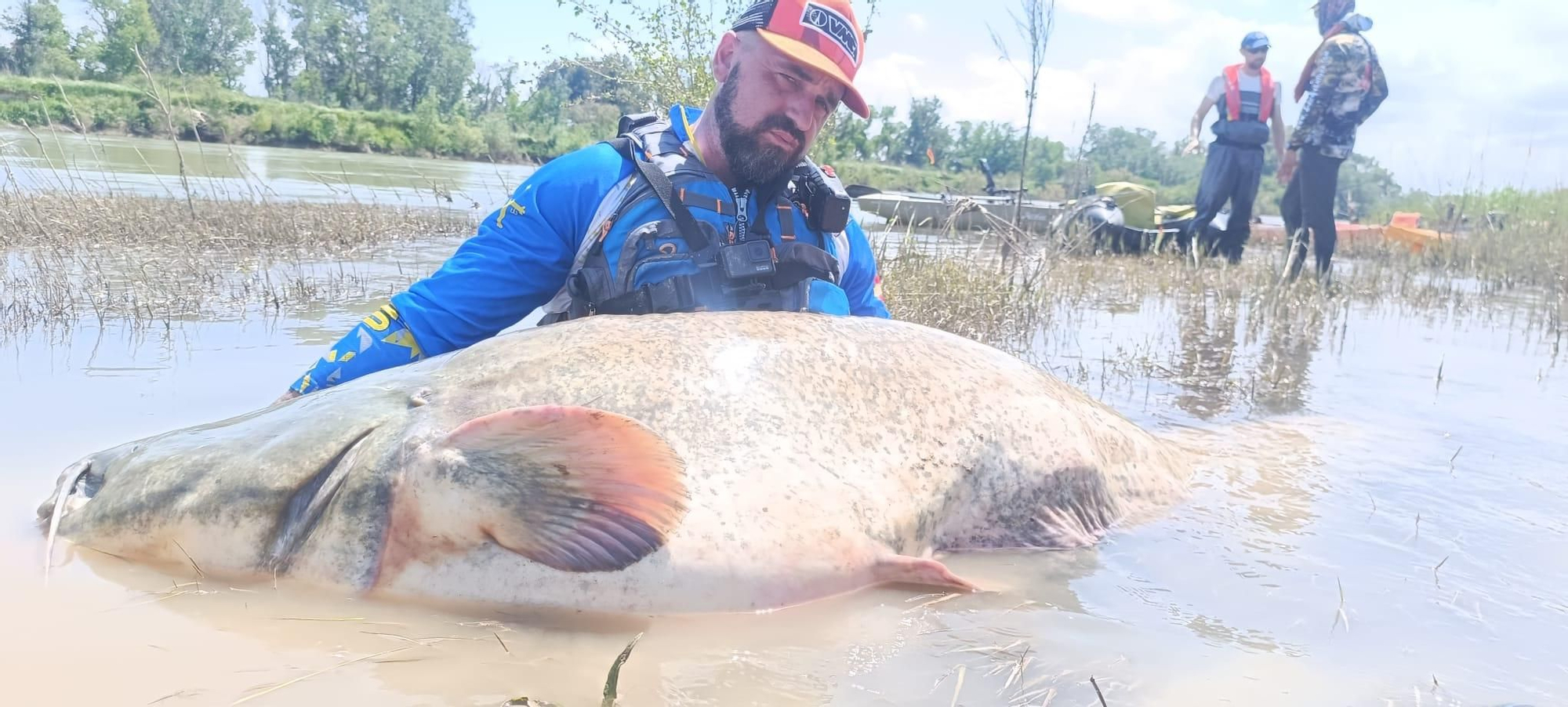 EN IMÁGENES: El monstruoso siluro pescado por unos asturianos en el Ebro
