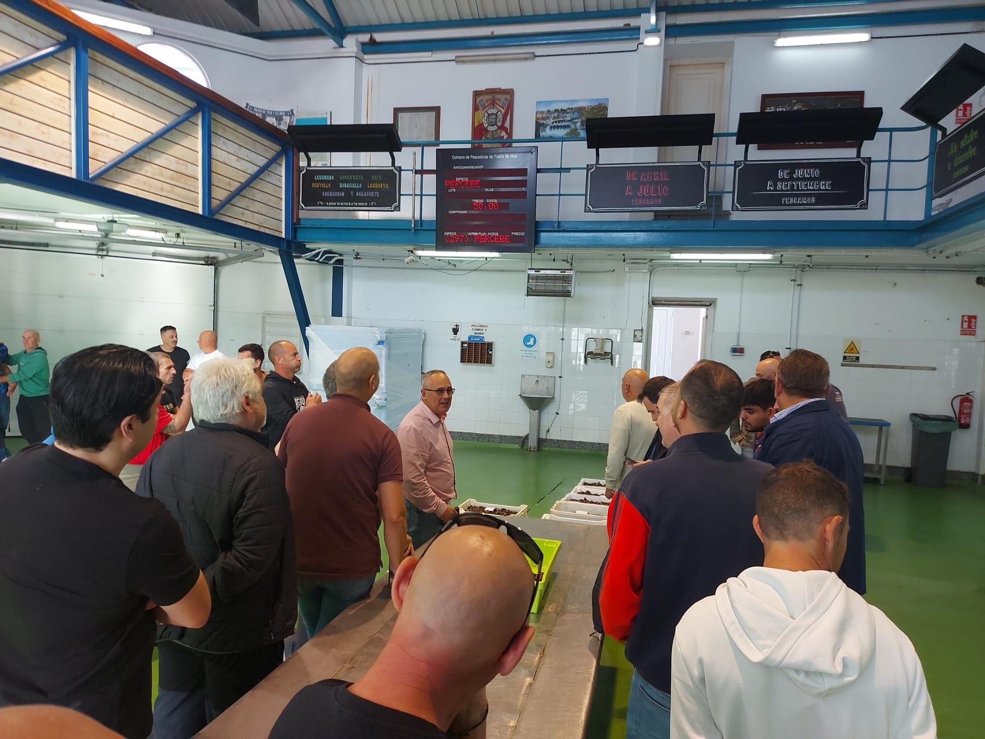 En imágenes: La primera subasta de percebe de la temporada en la rula de Puerto de Vega