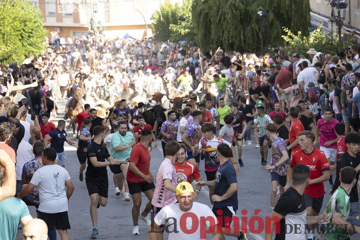 El segundo encierro de las Fiestas de Moratalla se salda con un herido