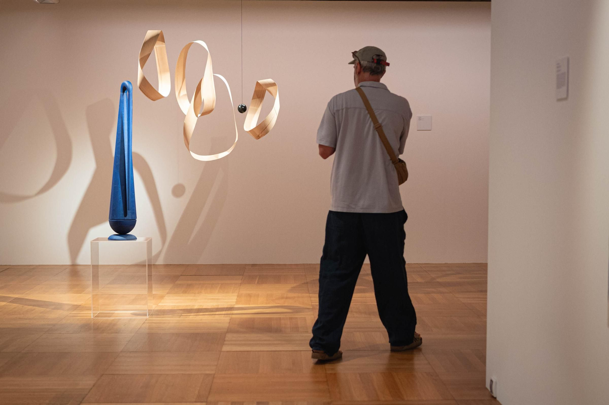Exposición de seleccionados de los Premios de Artes Plásticas CajaCanarias