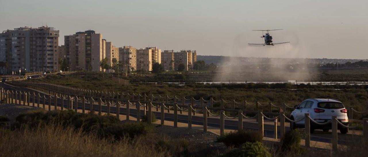 La empresa que realiza los tratamientos fumigó desde el aire contra el mosquito en el Saladar de Agua Amarga tras la gota fría.