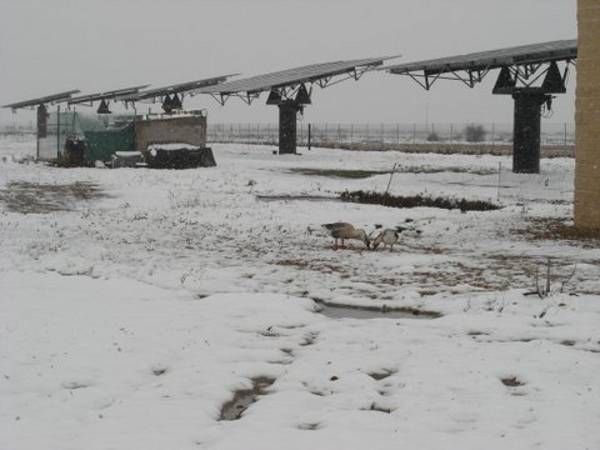 Las fotos de los cordobeses en la nieve