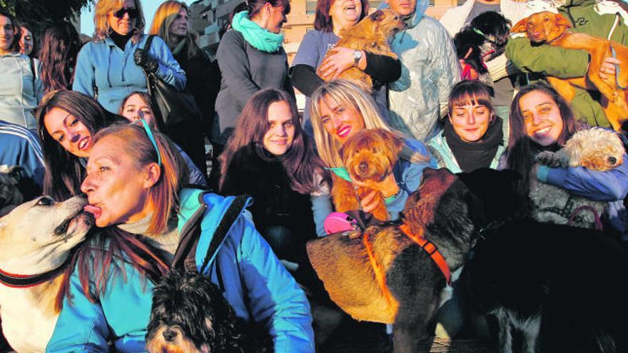 Blanca Rodríguez Casielles, en primer término, con voluntarios y perros de la protectora Masquechuchos, el jueves, en Oviedo. / luisma murias