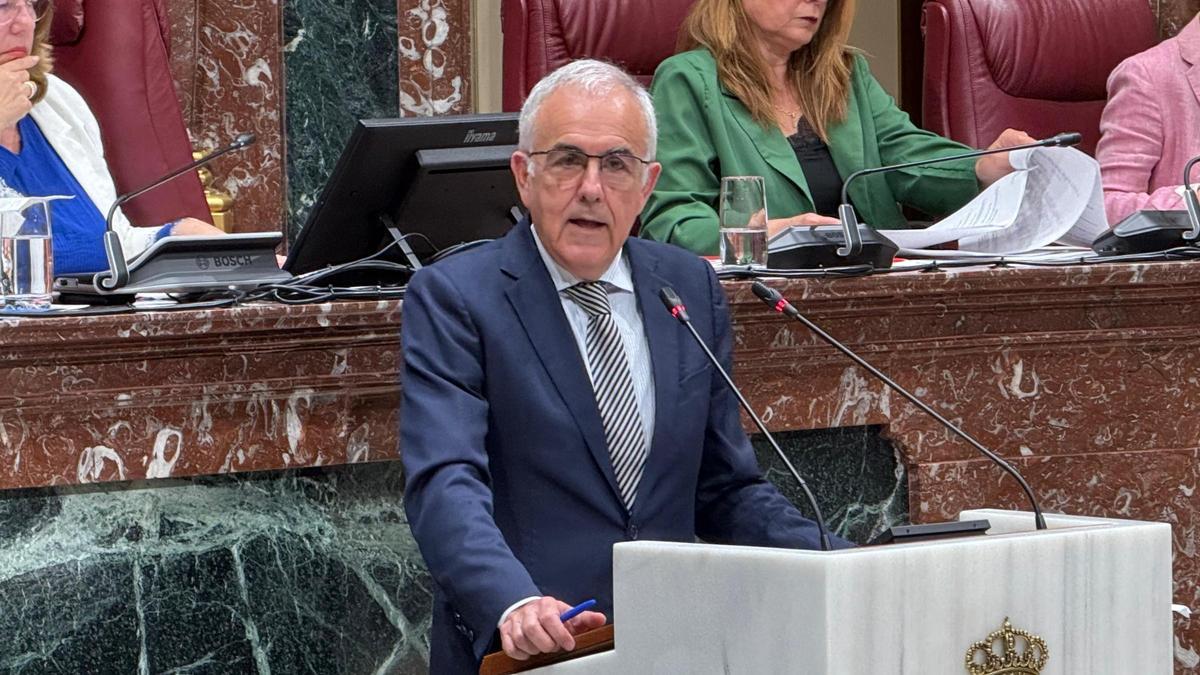 El diputado socialista Alfonso Martínez presentó la moción.