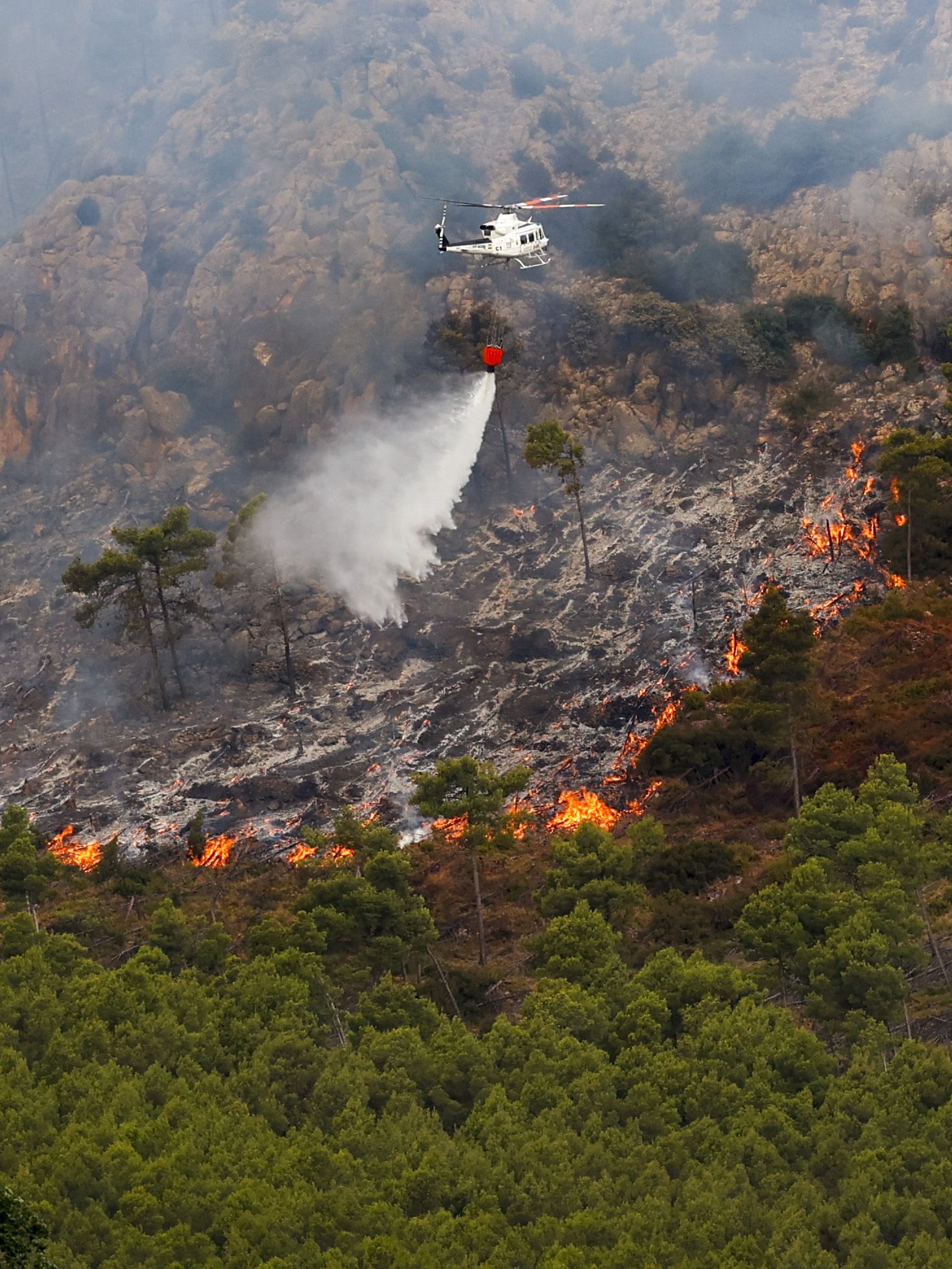 Desoladoras imágenes del incendio de Bejís