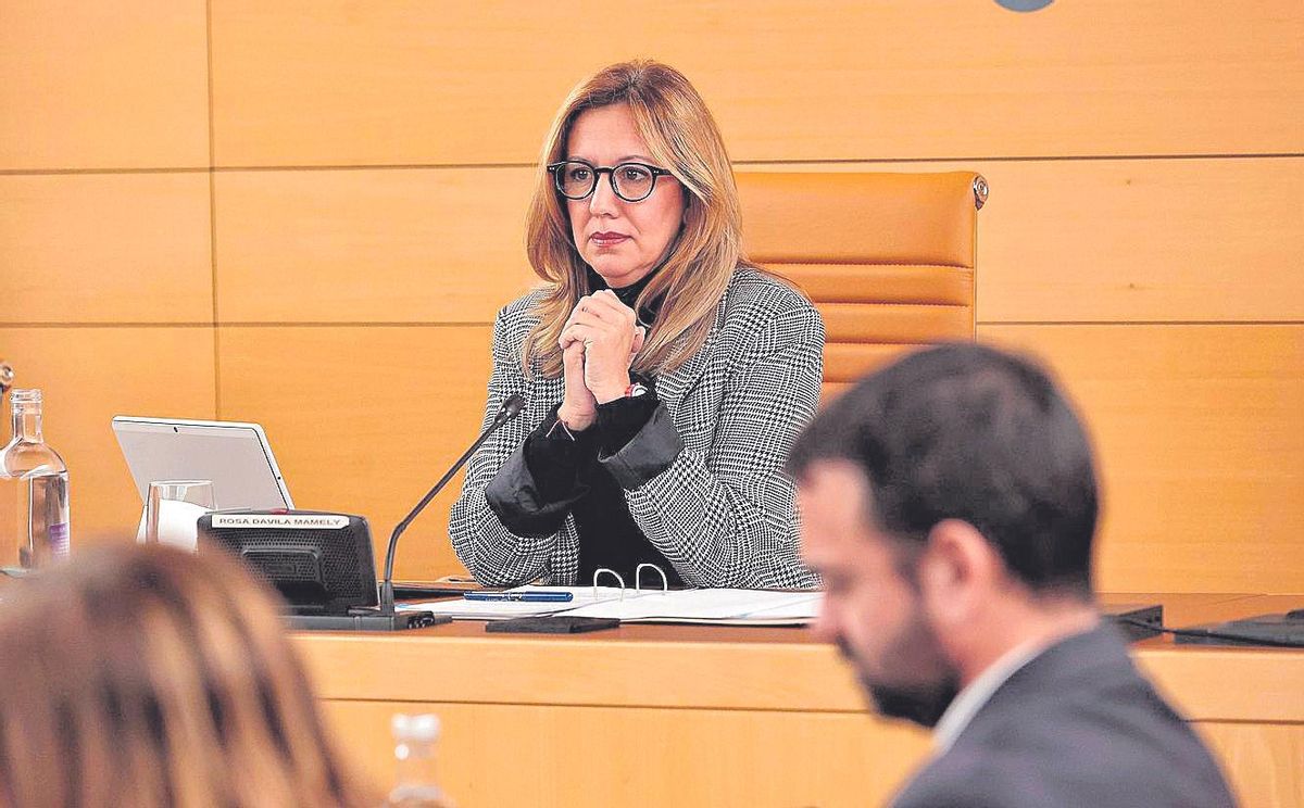 Rosa Dávila, president of the Cabildo of Tenerife