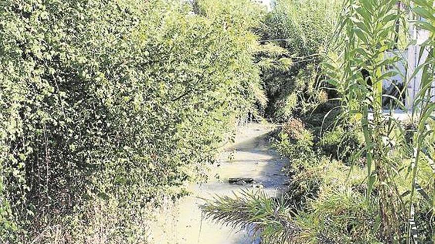 El BOE abre las alegaciones para la restauración ambiental del río Cabra