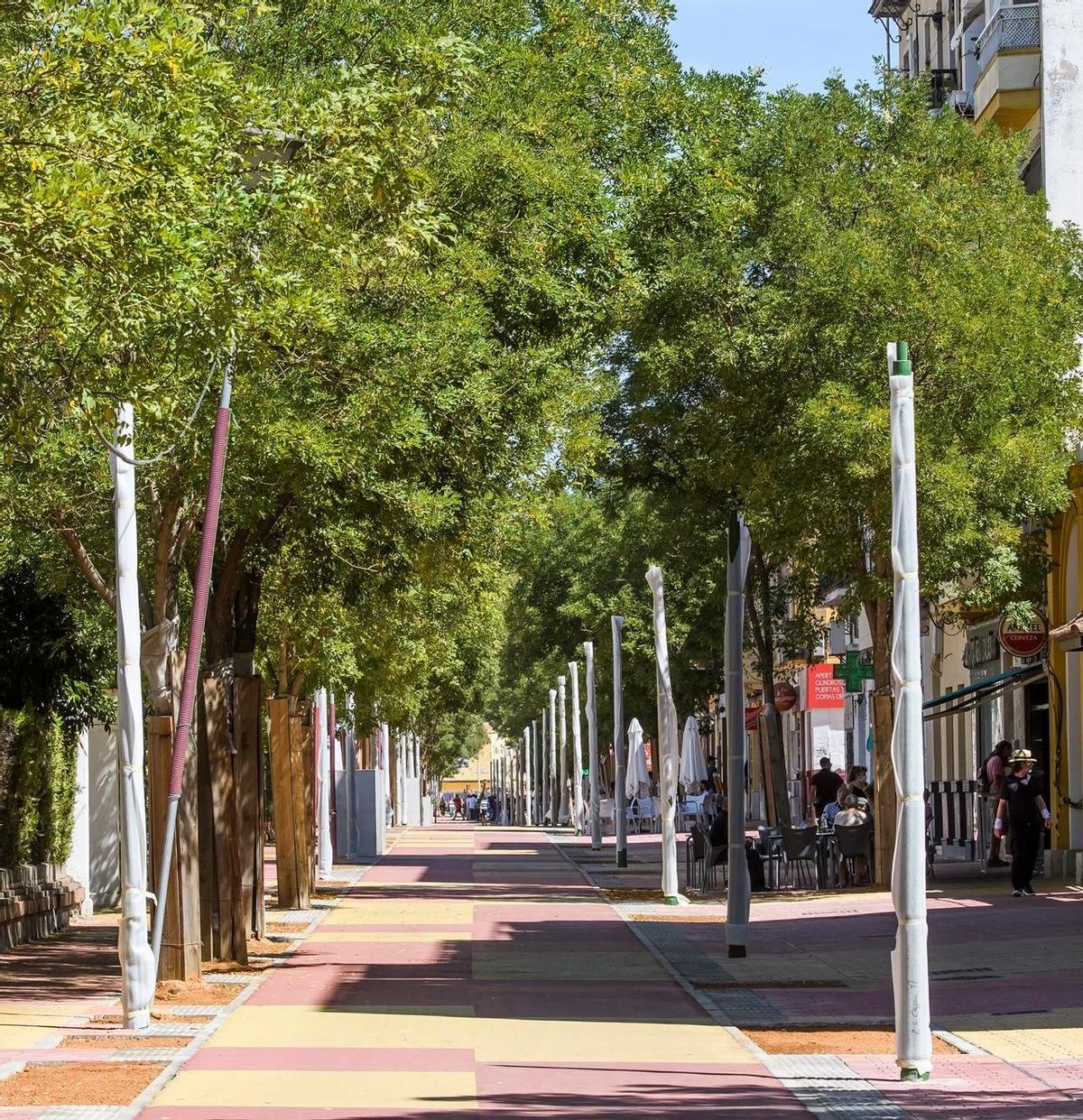Avenida de la Cruz Roja, en Sevilla