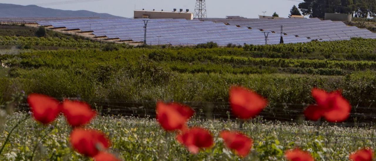 Imagen de archivo de una instalación fotovoltaica emplazada en Bélgida. | PERALES IBORRA