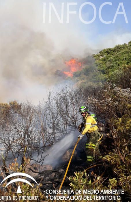 Declarado un incendio forestal en Casares