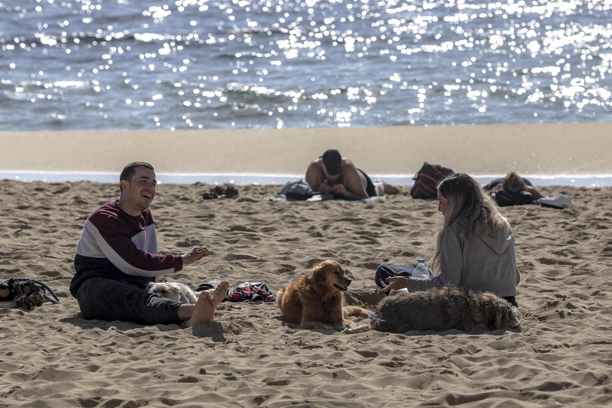 Los palmesanos aprovechan el buen tiempo para disfrutar de la playa