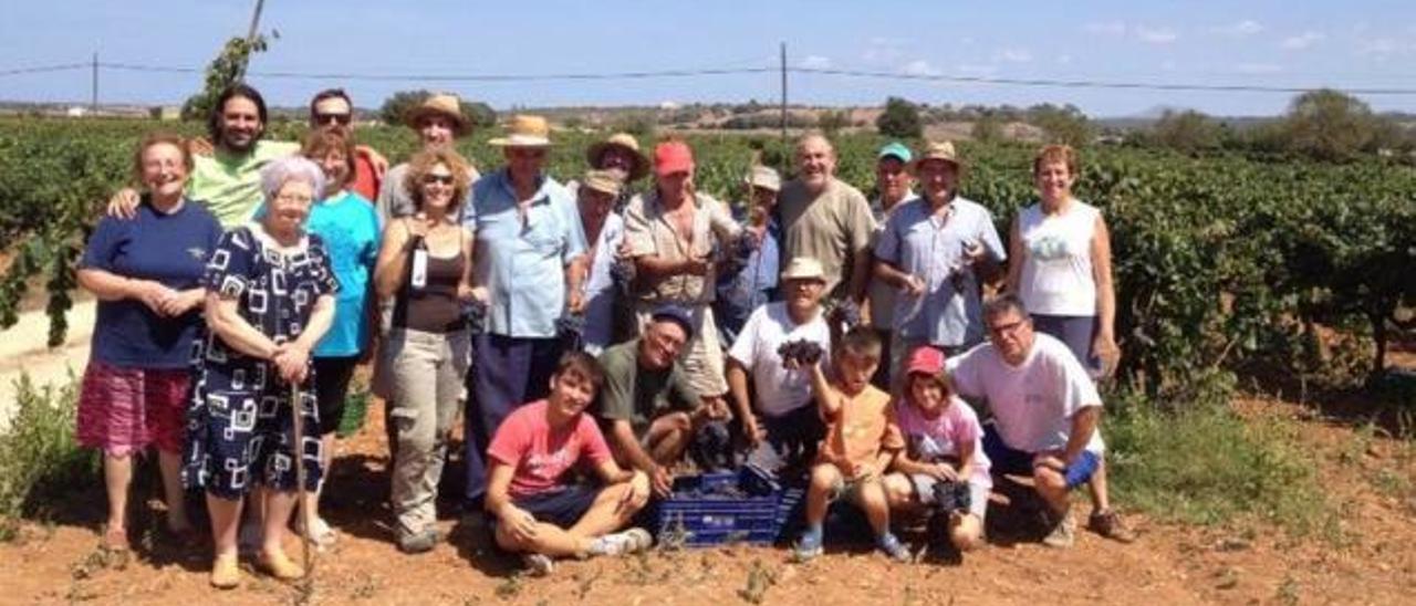 El temps de la verema ja és aquí. La vinya i el raïm són els grans protagonistes del mes.