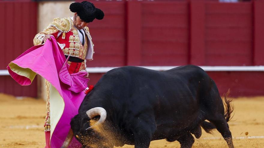 Carteles de la Feria de Málaga 2026: Morante de la Puebla, Roca Rey, David de Miranda y Emilio de Justo harán doblete en La Malagueta