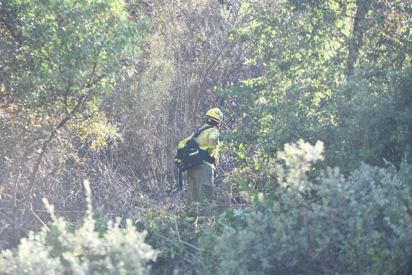 Incendio forestal en la barriada de Trassierra