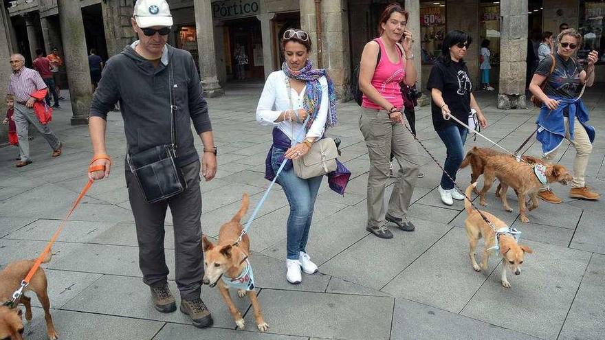 Andaina canina organizada por la asociación de acogida y adopción &quot;Os Palleiros&quot;. // Rafa Vázquez