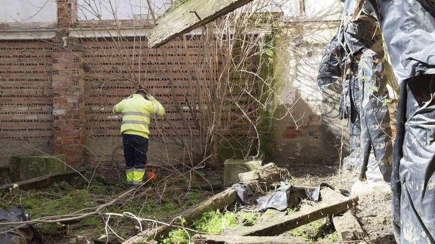 Un operario se coloca protección en los oidos antes de desbrozar de maleza el interior del inmueble.