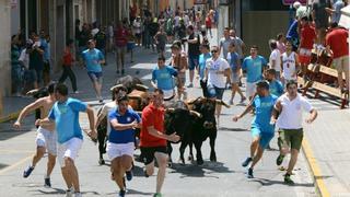 El regreso del PP a la alcaldía devolverá los bous al carrer a Xirivella y Godella