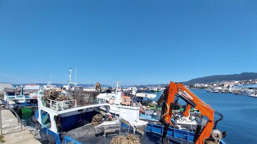 Una tregua fugaz para los mejilloneros: las toxinas vuelven a cerrar de golpe las más de 130 bateas de Bueu
