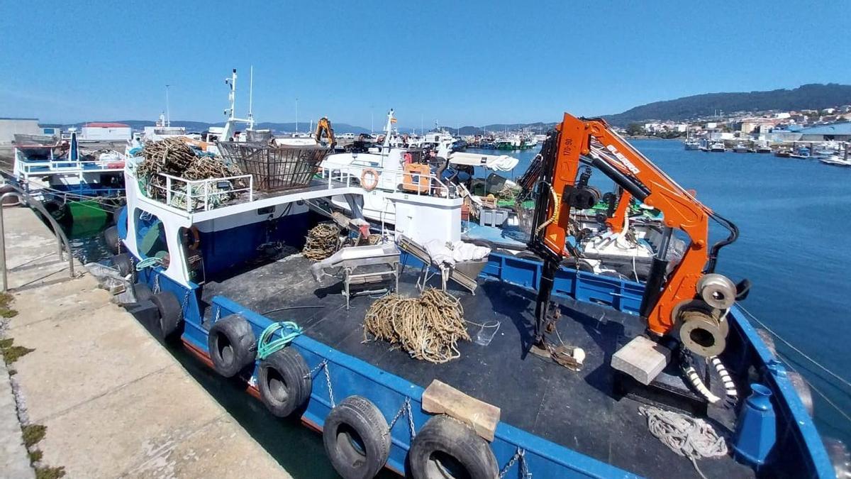 Barcos bateeiros amarrados este martes en el muelle de Bueu.