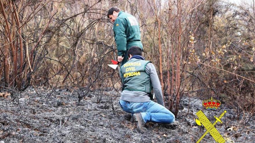 Agentes del Seprona toman muestras en una de las zonas quemadas en Asturias.