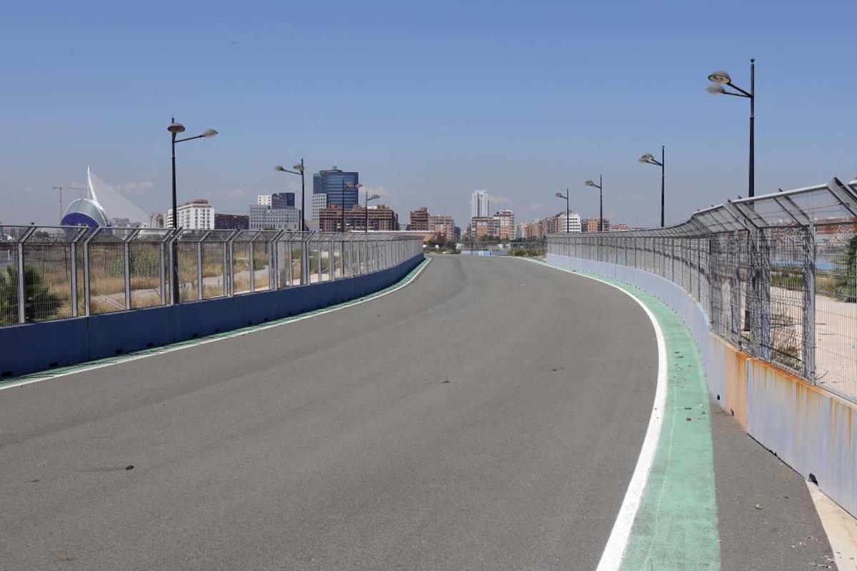 València tendrá un gran delta verte València tendrá un gran delta verte