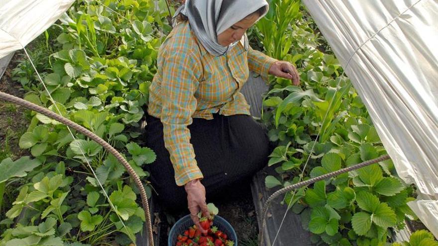 Profesores extremeños evalúan las necesidades de la agricultura en Líbano