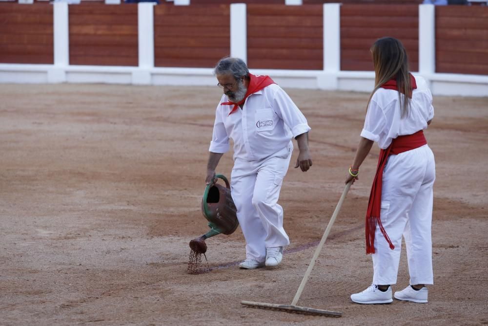 Novillada con picadores en El Bibio