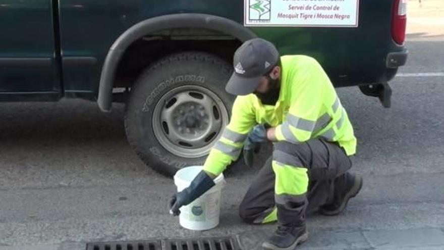 Uno de los empleados de la empresa Lokímica realiza el tratamiento en un imbornal.