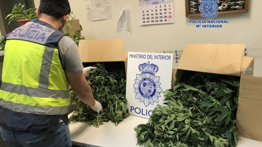 Detenidas 12 personas en tres operaciones antidroga en Cartagena