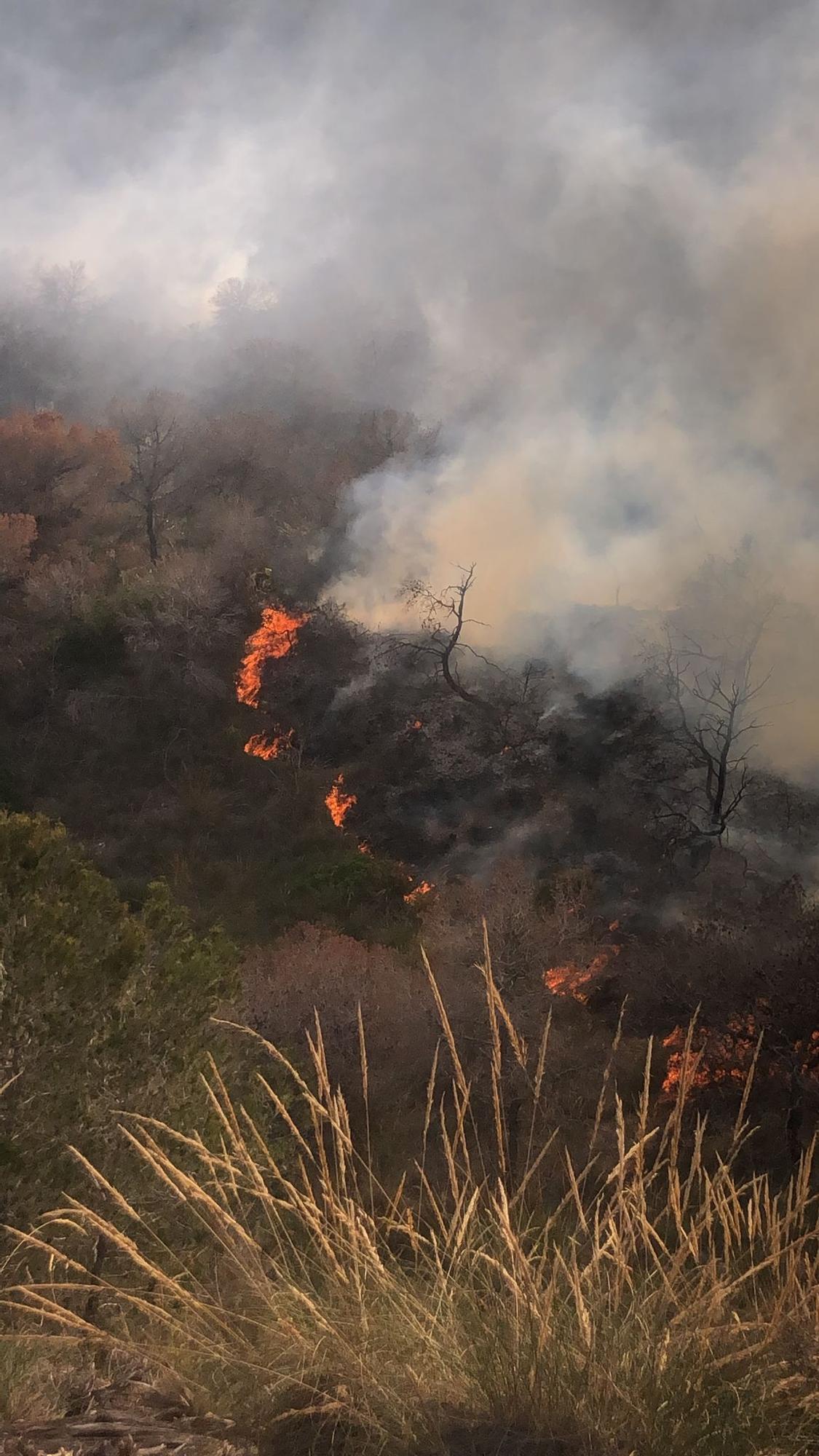 Las llamas del incendio en Orihuela Costa