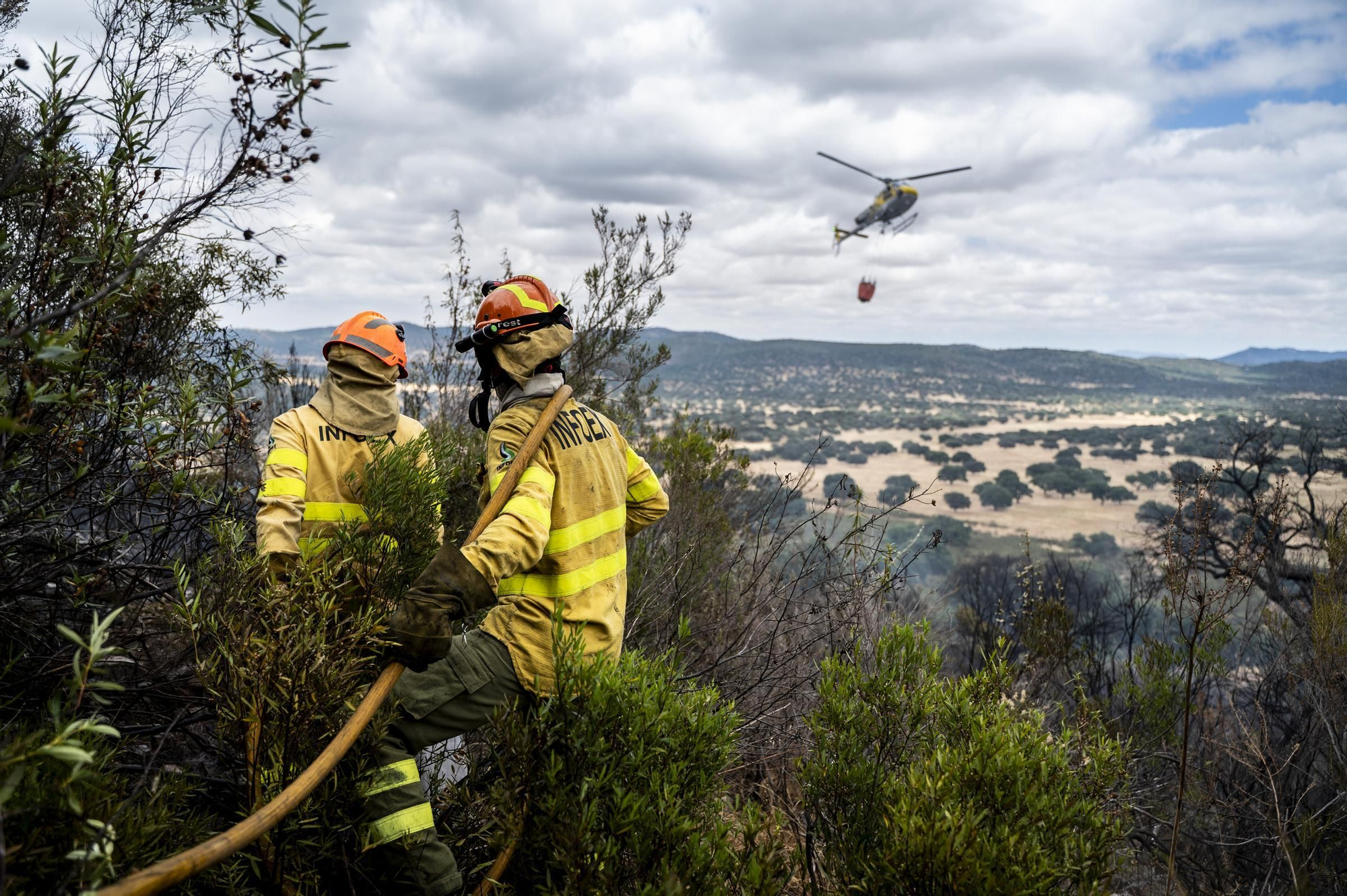 Las imágenes del incendio de este viernes en Cáceres