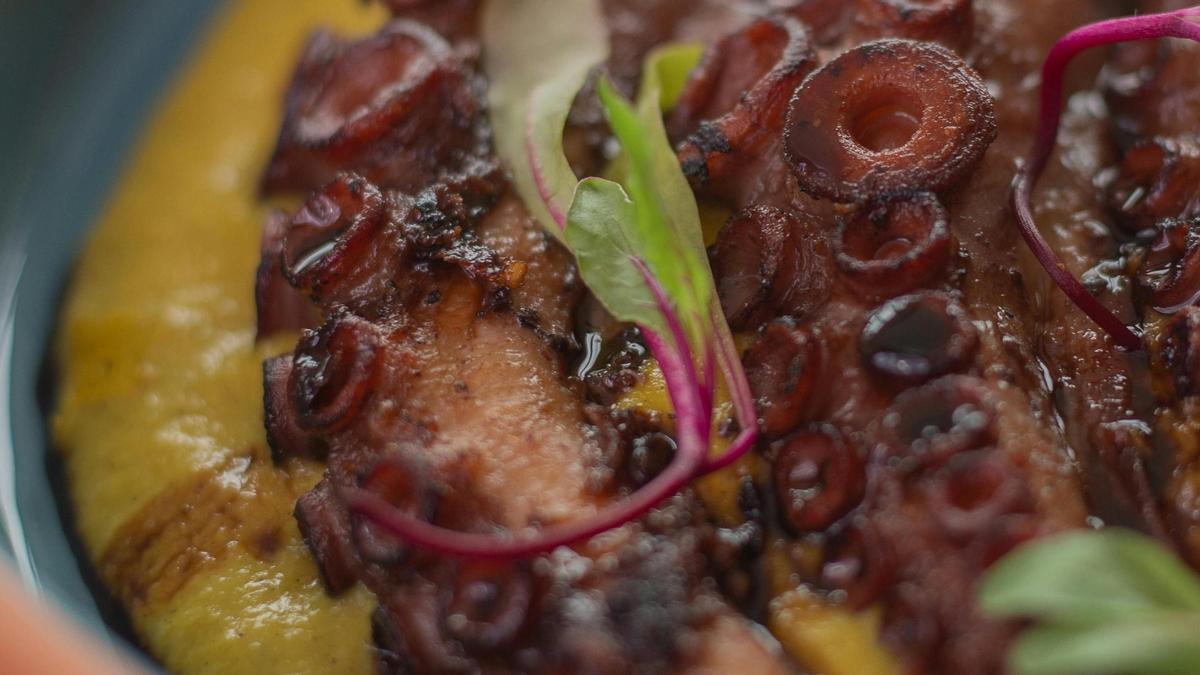 Pulpo con parmentier de patata.