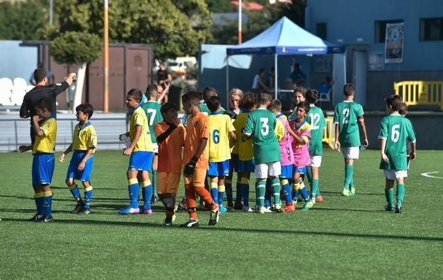 Copa de Campeones de Alevines