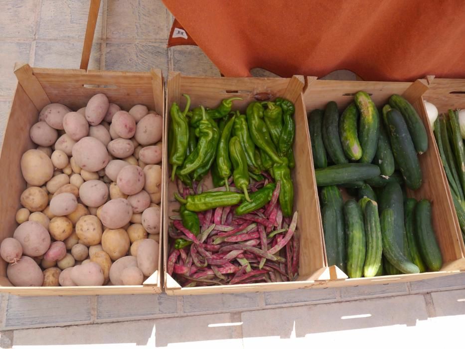 Orgullo de lucha por la huerta del sur