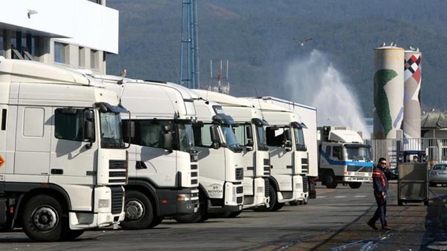 Una fila de camiones esperan en el Puerto de Vigo para ser cargados con pescado.