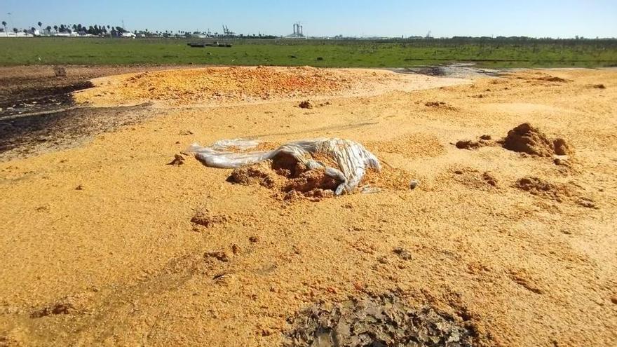 Denuncian un vertido "de toneladas de naranja" en Tablada: "Queremos que lo retiren y se investigue la autoría"