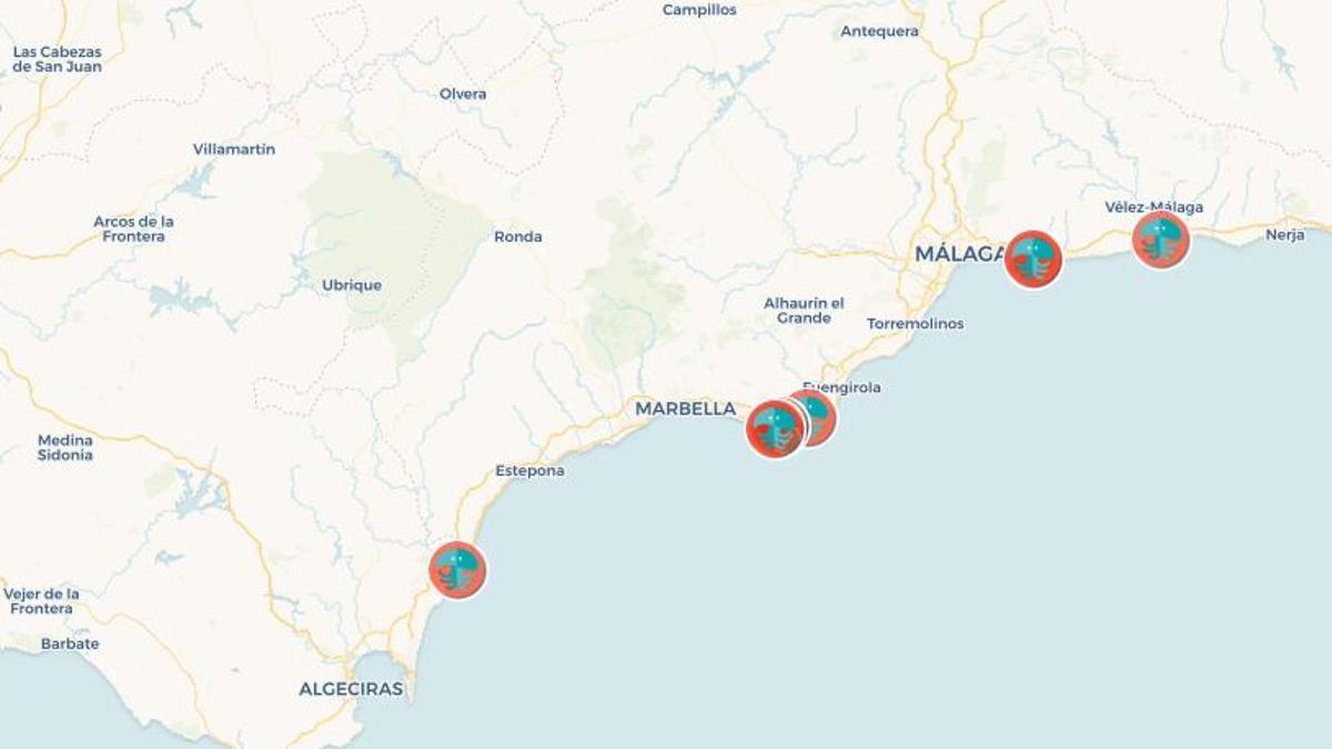 Mapa de un anterior verano con puntos donde se detectó la presencia de medusas clavel en el litoral malagueño.