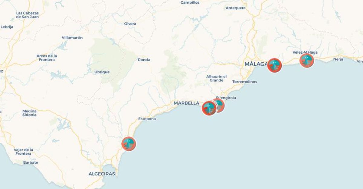 Mapa de la presencia de medusas clavel el litoral malagueño.