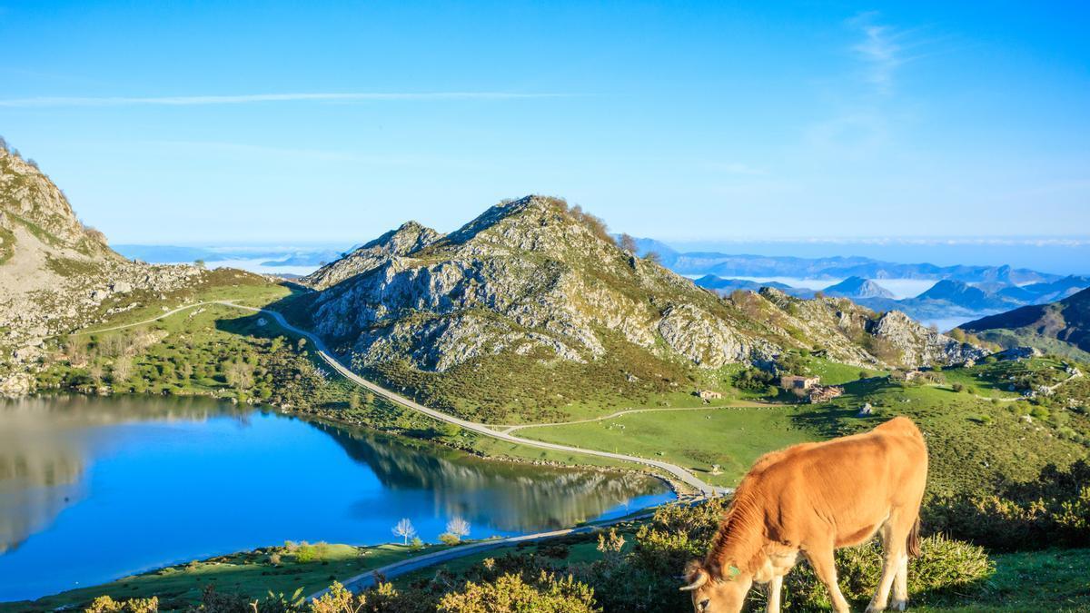 Vista del Lago Enol desde el Mirador de Entrelagos