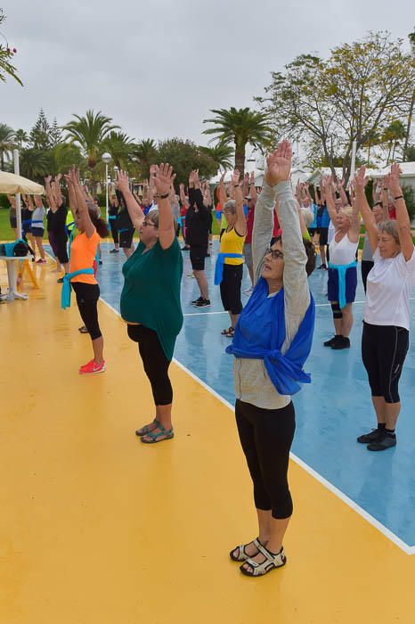 Gimnastas daneses del Festival Blume