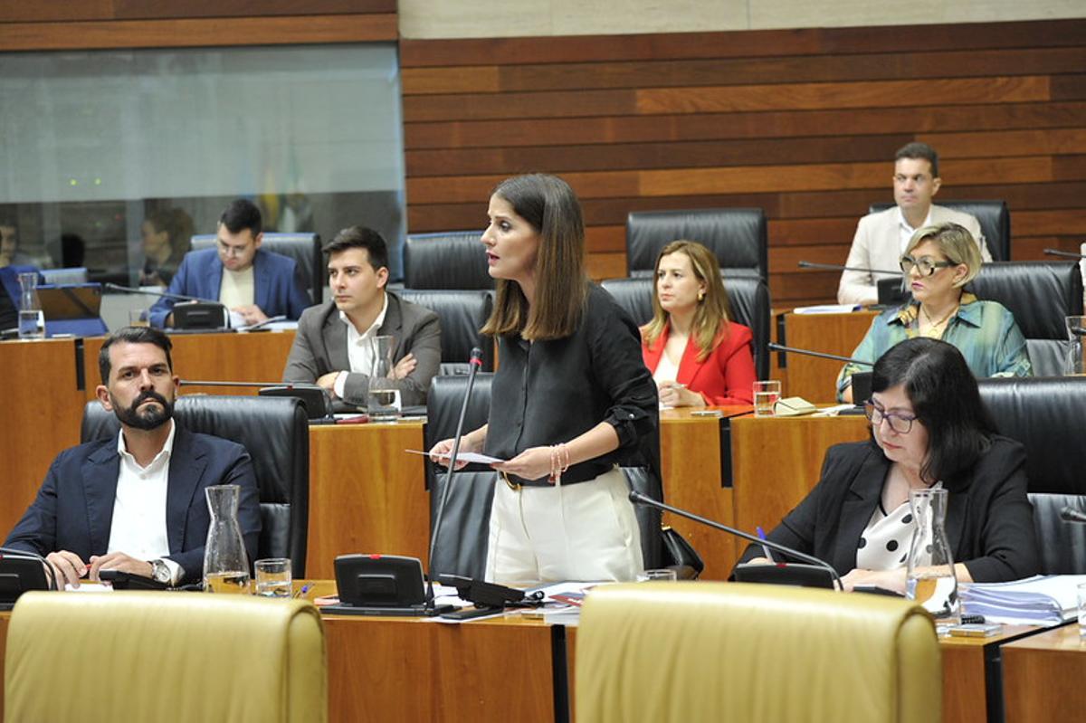 La portavoz del PSOE, Isabel Gil Rosiña, interviene durante la sesión de control en el pleno de la Asamblea.